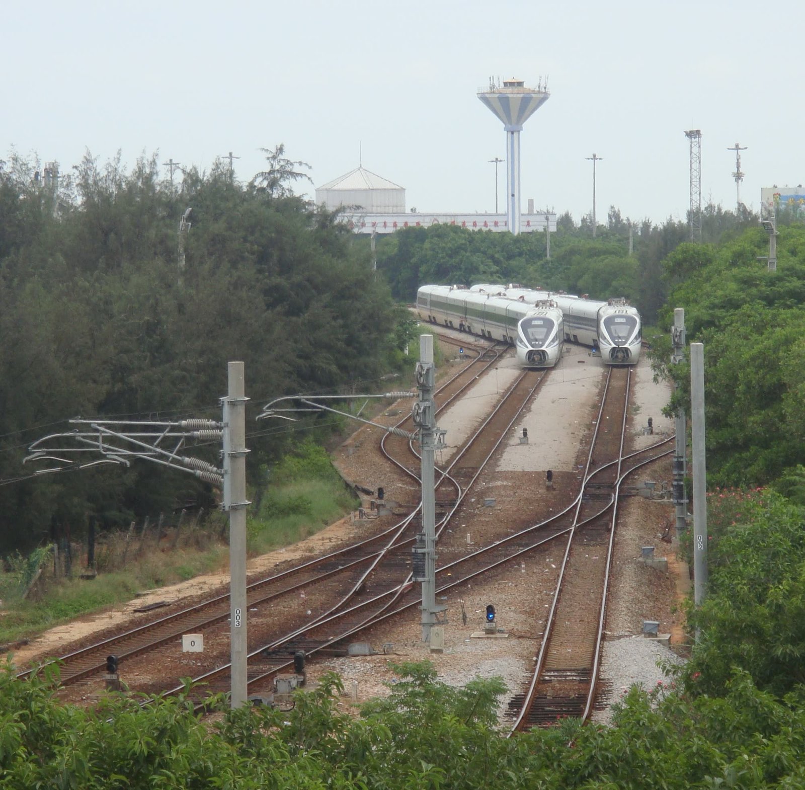 Tren de alta velocidad y viaje por China